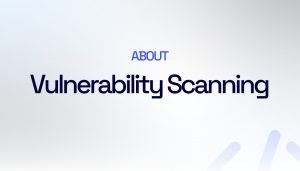 vulnerability scanning services