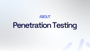 Penetration-testing-services